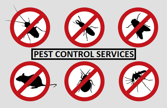 Tips for Selecting a Pest Control Service
