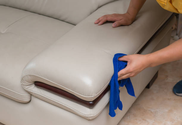 Why cleaning your upholstery is important.